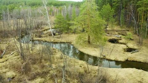 Fly over winding river on a sunny day 스톡 동영상 208435928