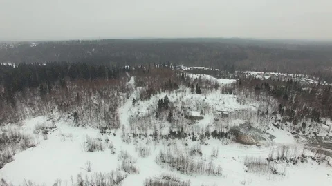 Fly over the winter forest landscape in cloudy weather with a snowfall. Stock Footage 92854031