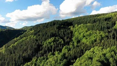 Fly over woods Stock Footage 108097604