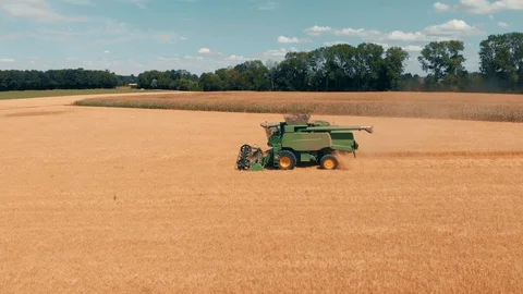 Fly over yellow wheat field and green harvester combine on sunny day. Aerial Stock Footage 94254005