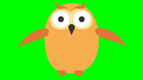 Fly owl green Stock Footage 187084338