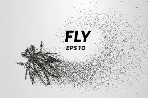 Fly from particles. The fly consists of circles and points. Vector illustrati Stock Illustration
