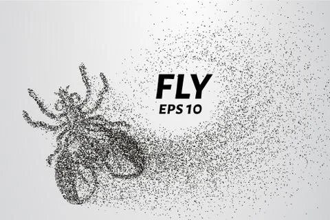 Fly from particles. The fly consists of small circles and dots. Vector illu.. Stock Illustration