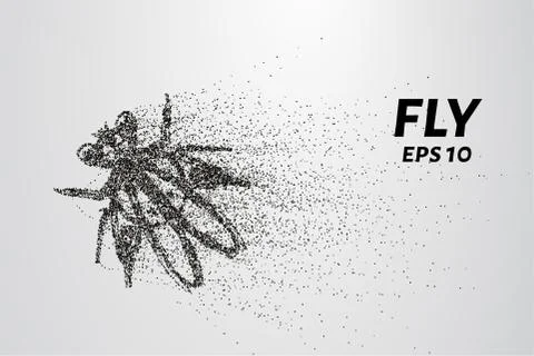 Fly from particles. The fly consists of small circles and dots. Vector illu.. Stock Illustration