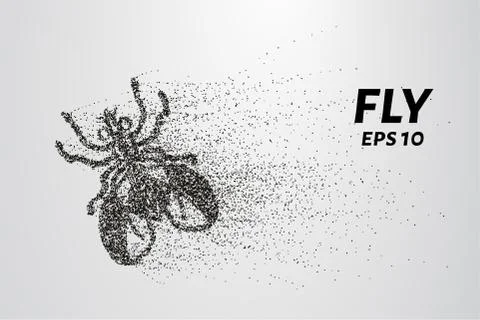 Fly from particles. The fly consists of small circles and dots. Vector illu.. Stock Illustration