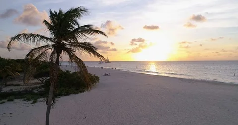 Fly up passing palm tree into white beach sunset view Stock-Footage 97149376
