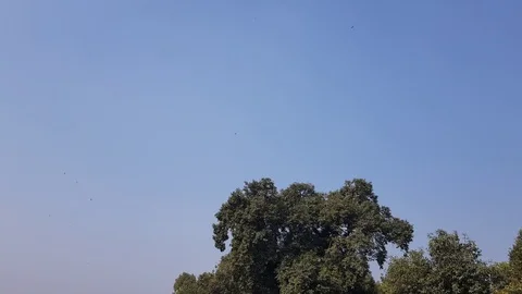 Fly-past during In India Stock-Footage 123680913