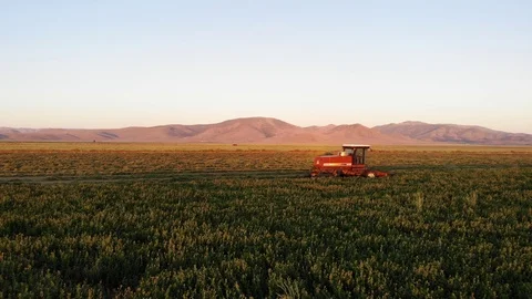 Fly Past Tractor on Ranch and Farming Field at Sunset - Aerial Drone Stock Footage 115065616