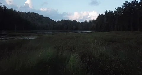 Fly Pond (Fast Motion) Stock-Footage 113967579