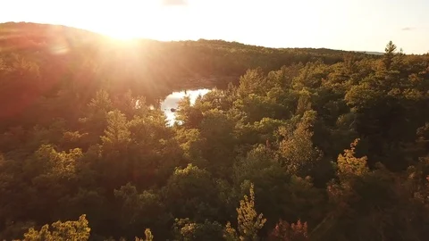 Fly to pond at sunset Stock-Footage 86623370