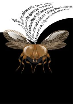 Fly poster Stock Illustration