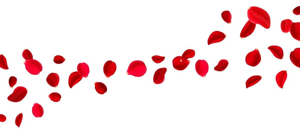 Fly red rose flower falling petals background Illustrazione stock