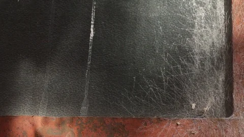 A fly rests on an old broken and rusty window 스톡 동영상 123799804