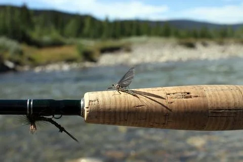 A fly rod held out in front of a trout stream Stock Photos