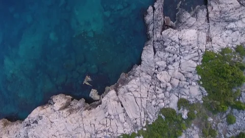 Fly to the sea Video stock 76715900