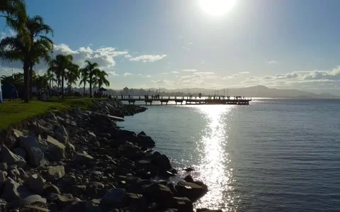 Fly on the sea Video stock 181727657