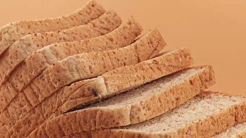 Fly on a  slices of whole wheat bread. Stock Footage 310846336