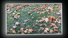 Fly slide Stock After Effects