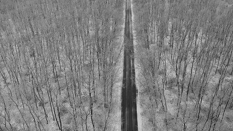 Fly with a snowy oak forest over a lone asphalt road Stock Footage 84740852