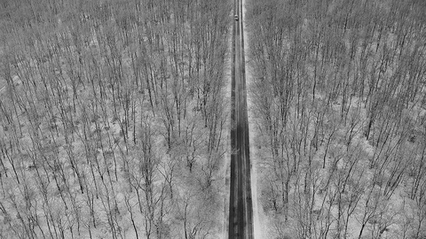 Fly with a snowy oak forest over a lone asphalt road that runs BMW Stock Footage 84758353