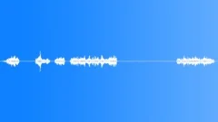 FLY Sound Effect