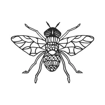 Fly stencil pattern vector illustration Stock Illustration