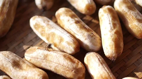 Fly on sun dried banana Stock Footage 68338090