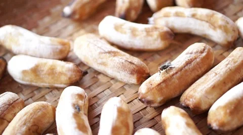 Fly on sun dried banana Video stock 68338273
