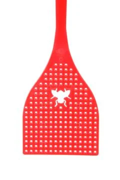 Fly swatter Foto stock
