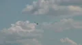 Fly Synthesis Texan Top Class HD Footage