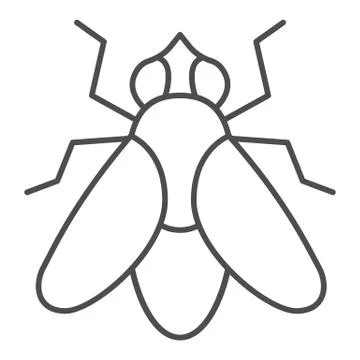Fly thin line icon, Insects concept, fly insect sign on white background, Fly 스톡 일러스트