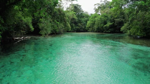 Fly through above the emerald water in Escudo Island Panama surrounded by jungle Video stock 276240871