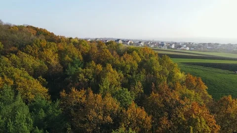 Fly through the autumn forest and field overlooking a village on a sunny day Stock-Footage 143732124