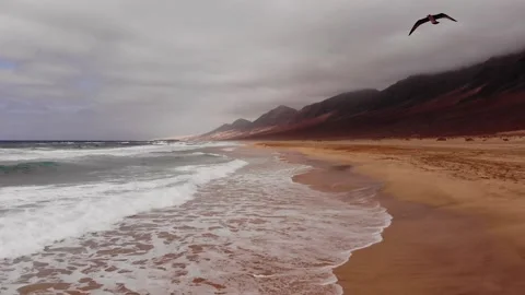 Fly through on beach in Cofete Stock Footage 139160568