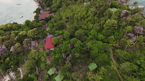 Fly through the coconut trees in Koh Tao, Thailand. 4K 60FPS by FPV Drone Stock Footage 249881604