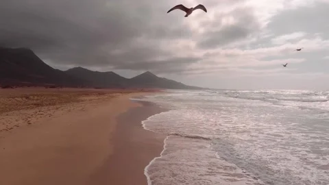 A fly through Cofete beach Stock Footage 139160197