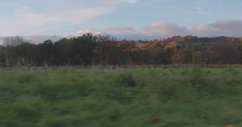 Fly through countryside Stock-Footage 85642531
