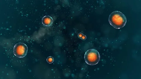 Fly through dividing cells. Video stock 134676248