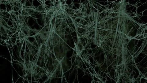 Fly through endless spider webs. Scary space, horror, halloween background. T Stock Footage 195294656