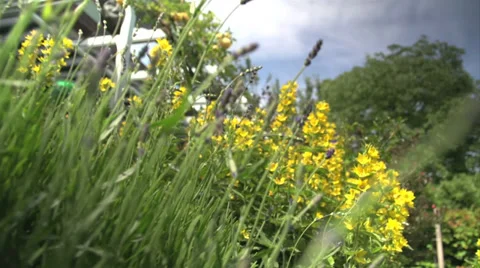 Fly through the flowers. Video stock 27565996