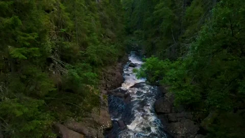 Fly Through A Forest Over A River 4K Areal Stock Footage 249907432