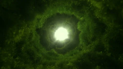 Fly through the grass tunnel. Last trip, run to the unknown. Stock Footage 122555650