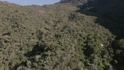 Fly through indigenous forest in Southern Turkana Stockbeeldmateriaal 168869478