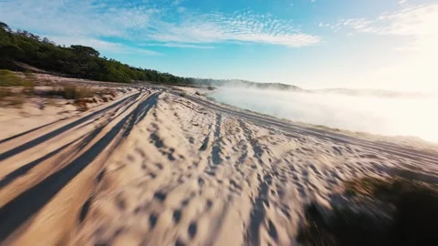 Fly-through misty coastal dunes with forest edge and sunrise Stock Footage 340904410