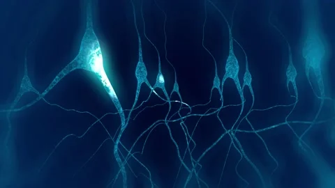 Fly through a neuron cell network inside the brain Stock Footage