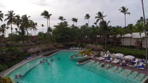 Fly through palm trees at a resort pool Stock Footage 54404445