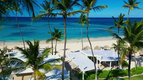 Fly-through the palm trees to a tropical tourist beach with an ocean view Stock Footage 309567968
