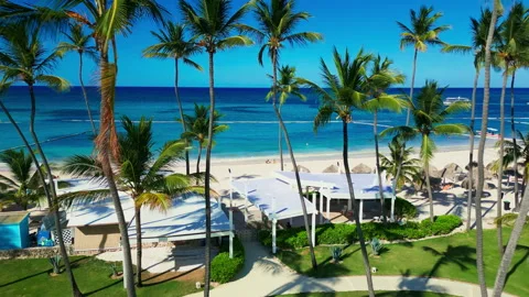 Fly-through the palm trees to a tropical tourist beach with an ocean view Stock Footage 309568177