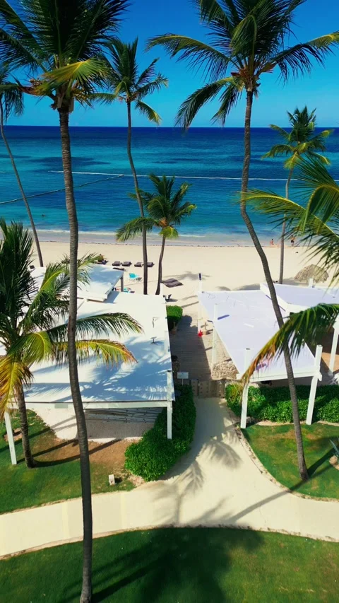 Fly-through the palm trees to a tropical tourist beach with an ocean view Stock Footage 309941296