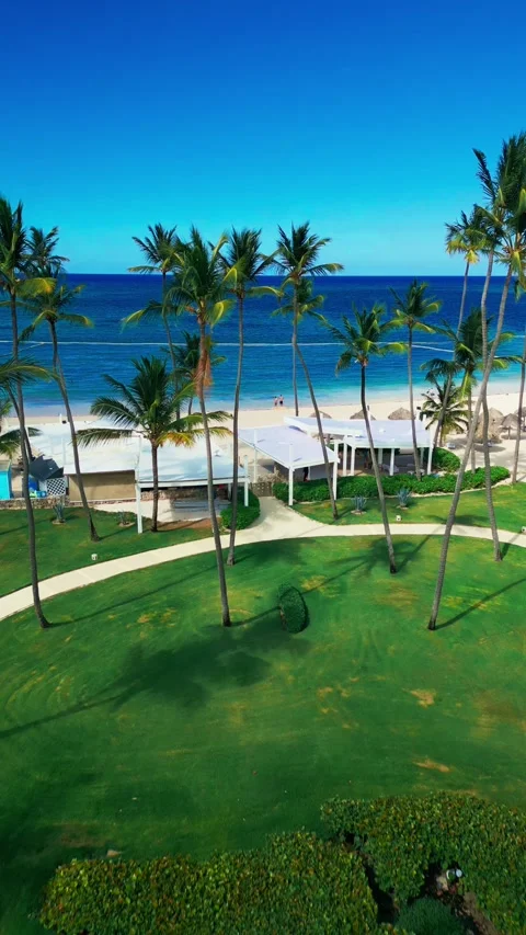 Fly-through the palm trees to a tropical tourist beach with an ocean view Stock Footage 309941314